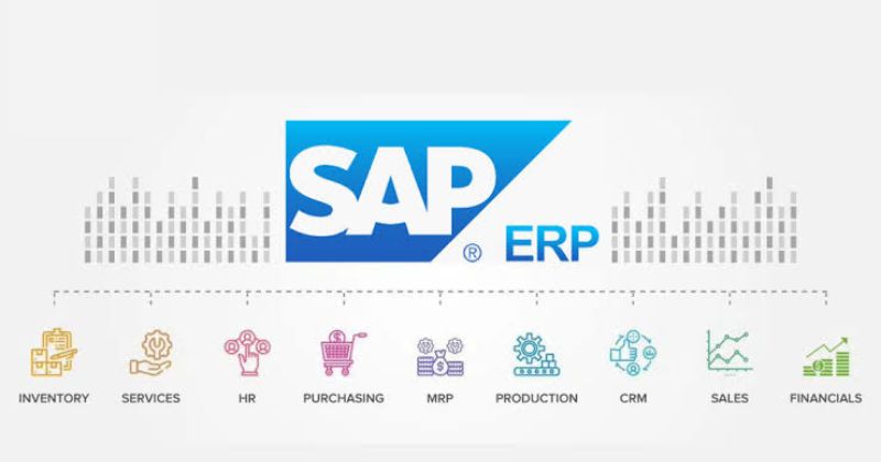 Phần mềm SAP là gì